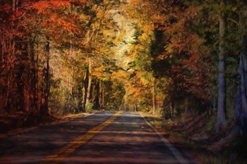 Falls Guiding Light by Jai Johnson art print