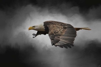 Stormy Sky Flight by Jai Johnson art print