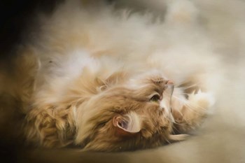 Upside Down by Jai Johnson art print