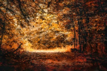 A Golden Journey by Jai Johnson art print