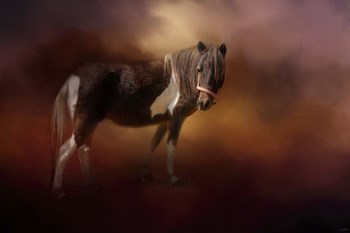 Chickasaw Pony In Autumn by Jai Johnson art print