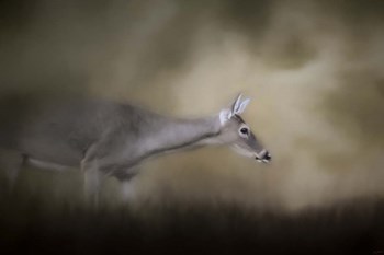 Hesitation by Jai Johnson art print