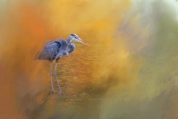 On The Cusp of Autumn by Jai Johnson art print