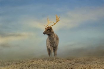 Taking  In The View by Jai Johnson art print