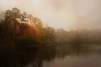 Foggy Morning At Lake LaJoie by Jai Johnson art print