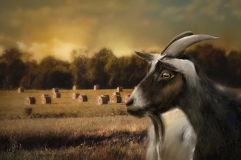 Hay Buffet by Jai Johnson art print