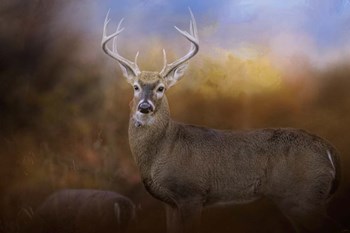 Let The Season Begin by Jai Johnson art print