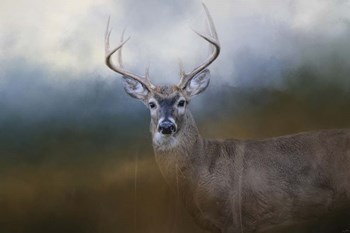 Big Boy by Jai Johnson art print