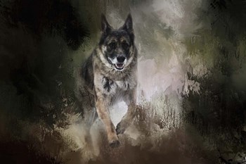 To The Rescue by Jai Johnson art print