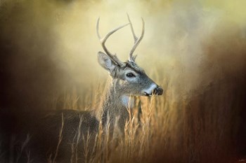 Doe Chasing by Jai Johnson art print