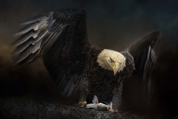 Fresh Catch by Jai Johnson art print