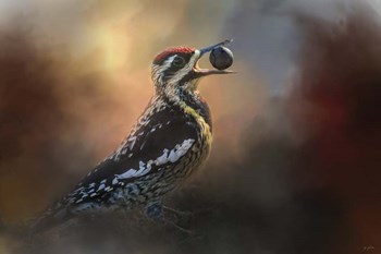 One Cracked Nut by Jai Johnson art print