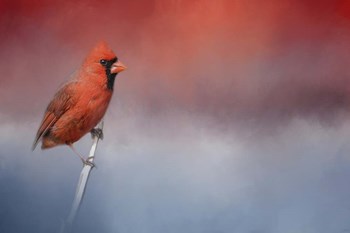 Challenged by Jai Johnson art print