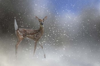 Step Out In Faith by Jai Johnson art print