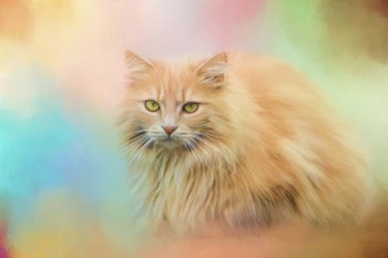 Waiting for Birds by Jai Johnson art print