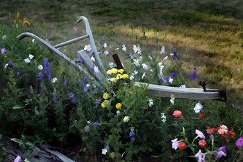 Flower Plow by J.D. McFarlan art print