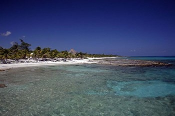 Yucatan Beach by J.D. McFarlan art print
