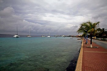 Bonaire 1 by J.D. McFarlan art print