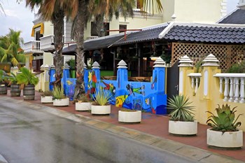 Bonaire 5 by J.D. McFarlan art print