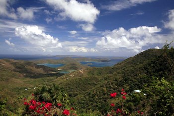 St Johns 3 by J.D. McFarlan art print