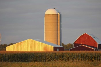 Barn &amp; Silo by Jeff Rasche art print