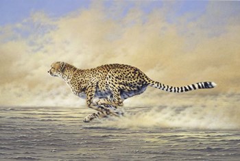 Chasing by John Naito art print