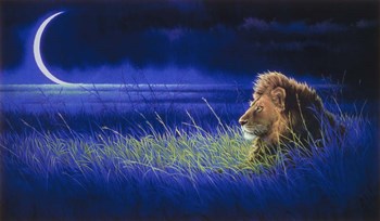 Crescent by John Naito art print