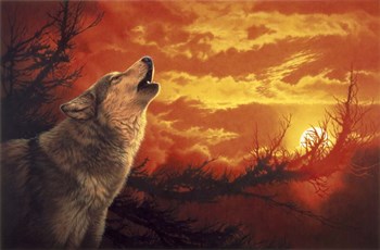 Evening Glow by John Naito art print