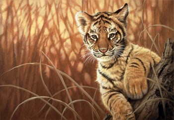 Pure Eyes by John Naito art print