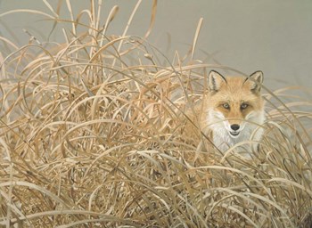 Silent Gaze by John Naito art print