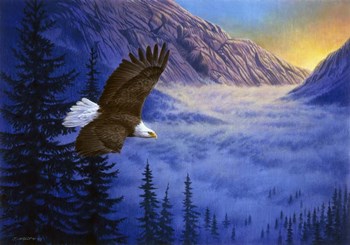 Soaring High by John Naito art print