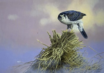 On Guard by John Naito art print