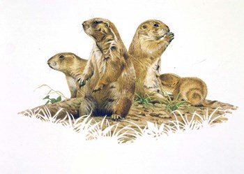 Group Outing by John Naito art print