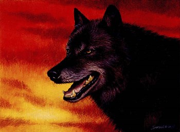 Red Skies by John Naito art print