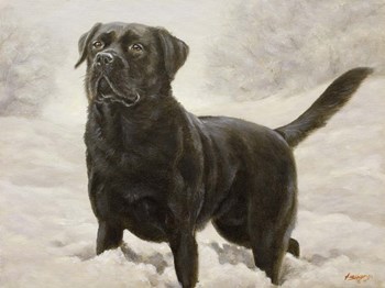 Splashing by John Silver art print