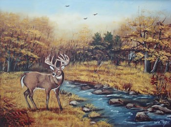 Monarch by Arie Reinhardt Taylor art print