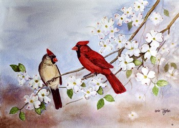 Cardinals and Dogwood by Arie Reinhardt Taylor art print