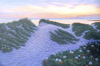 After Glow Dunes by Bruce Dumas art print