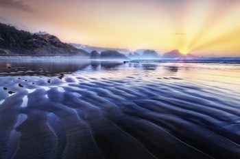 A Wrinkle In Time by Celebrate Life Gallery art print