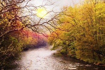 Cherokee Autumn by Celebrate Life Gallery art print