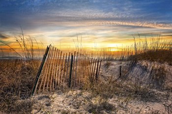 Dune Glow by Celebrate Life Gallery art print