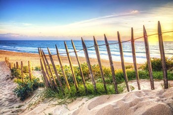 Glow At Sunset by Celebrate Life Gallery art print