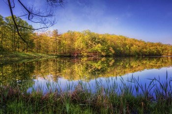 In The Looking Glass by Celebrate Life Gallery art print