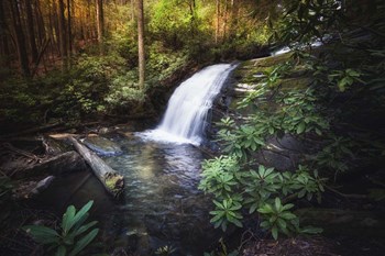 Morning Glow At The Waterfall by Celebrate Life Gallery art print