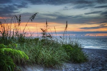 On The Edge Of Sunrise by Celebrate Life Gallery art print