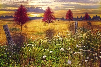 Sunset Shadows by Celebrate Life Gallery art print