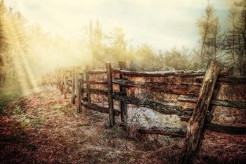 Wood Fences In The Fog by Celebrate Life Gallery art print
