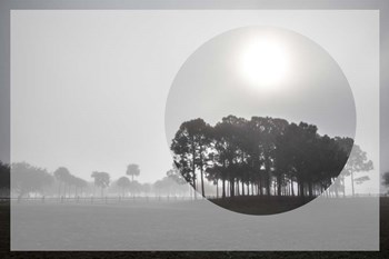 Sunrise Circles by Celebrate Life Gallery art print