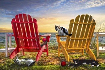 Cat Nap at the Beach by Celebrate Life Gallery art print