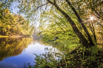 Unforgetable by Celebrate Life Gallery art print